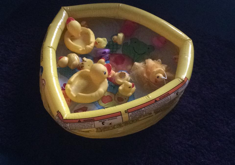 DUCK