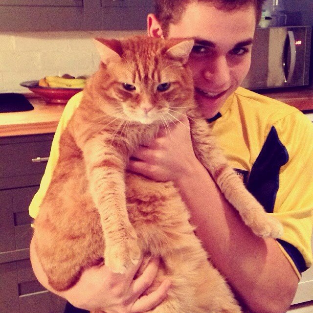Exhibit A: Morbid cat.