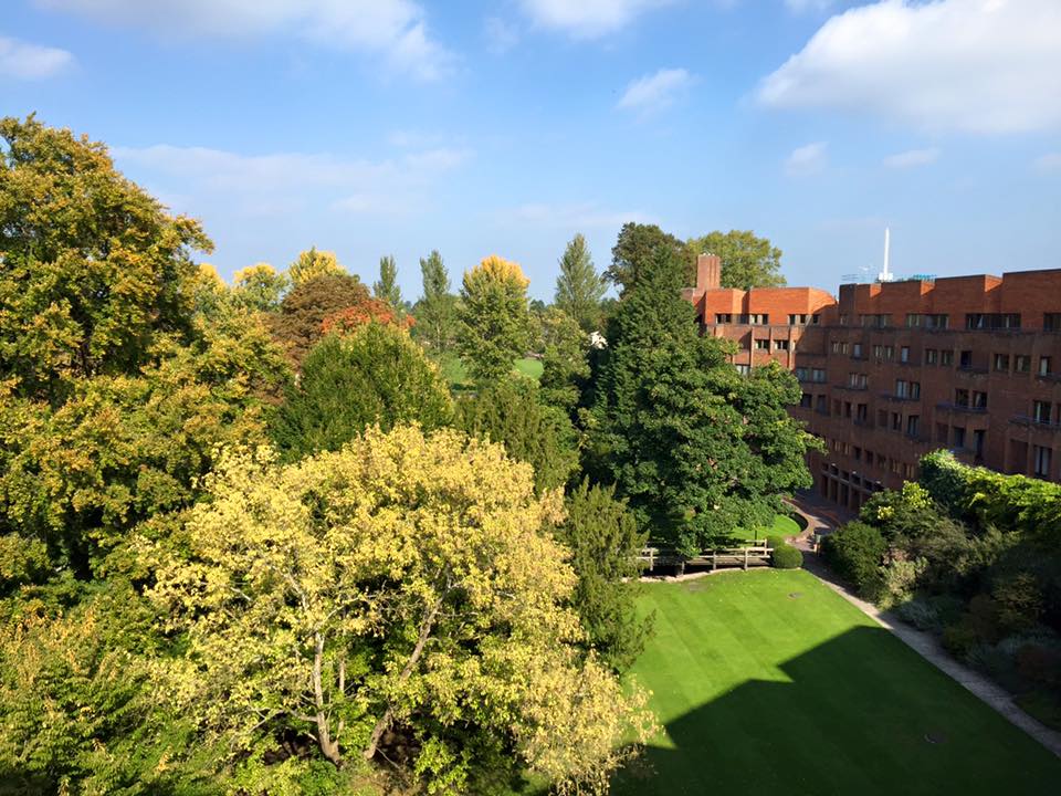 robinson gardens