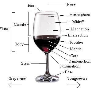Anatomical diagram of a glass of wine: Who knew you needed to be a Natsci to understand alcohol.