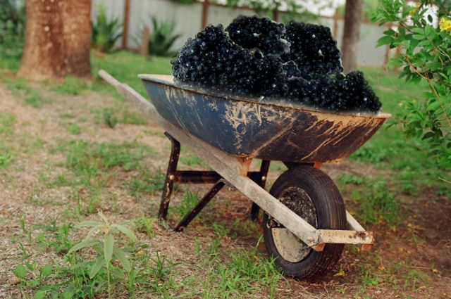 Empty_Wheelbarrow