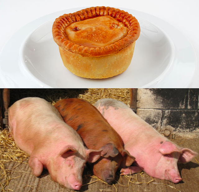 From three little pigs to pork pies - the VR follows the lives from start to finish
