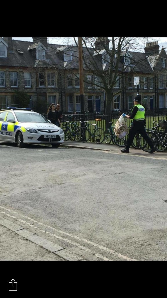 A policeman carries away a singed sheep costume