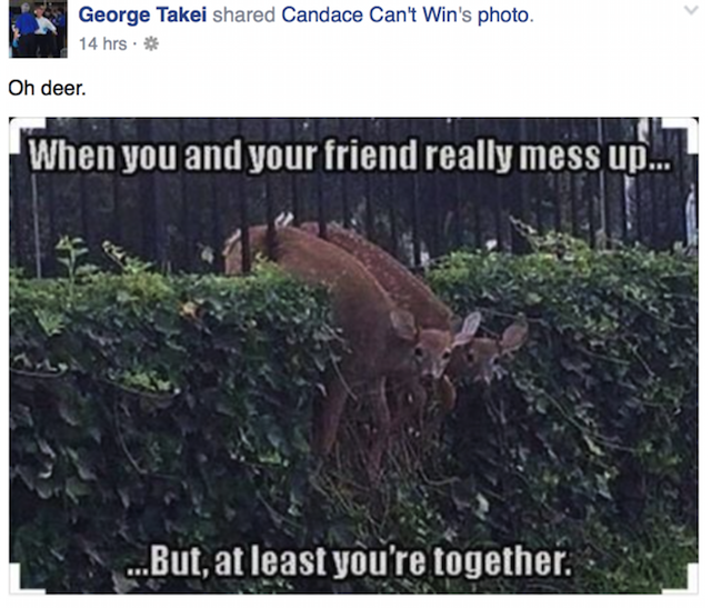 Oh deer Takei