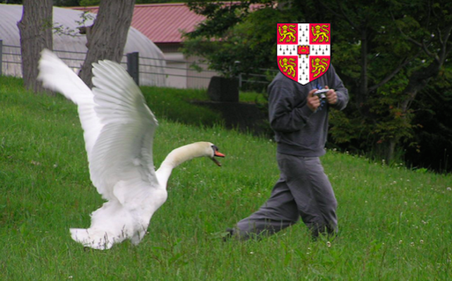 The wild fowl fight back