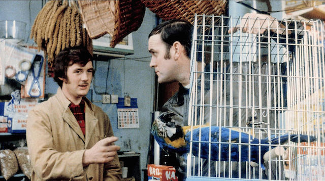 For those unfamiliar with Monty Python, that parrot is indeed very dead