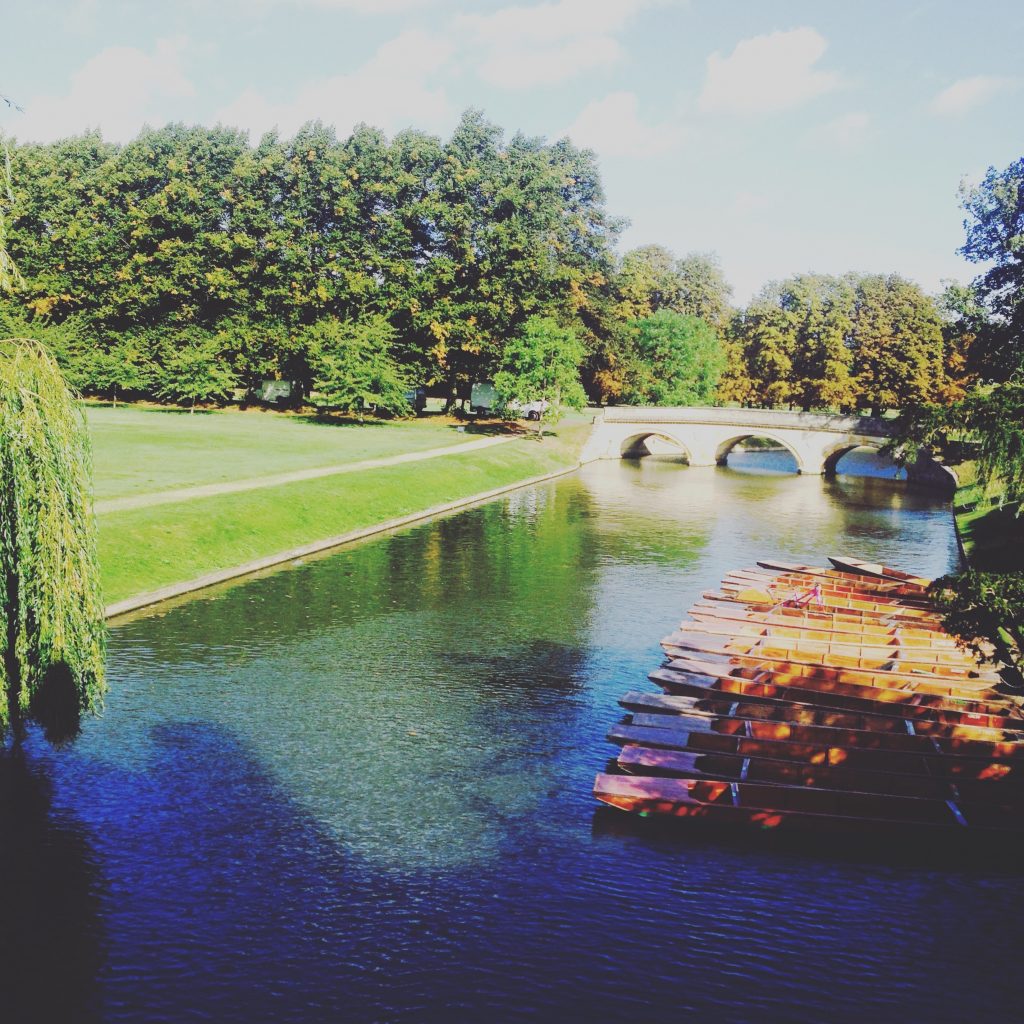 quick! never seen before photo of a punt