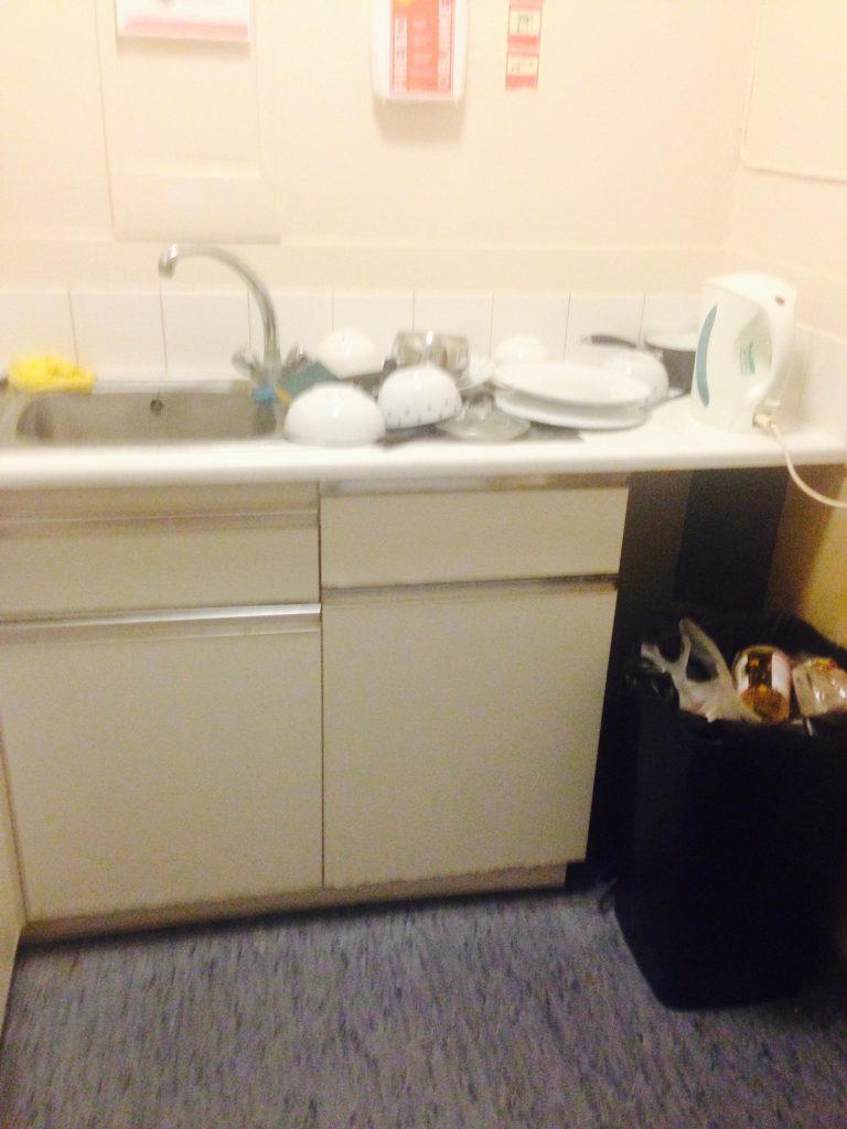 up close and personal with the kitchen/broom cupboard