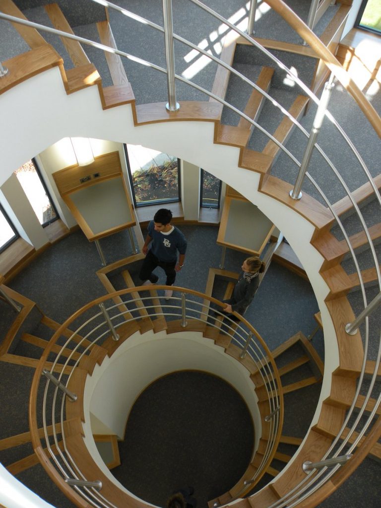 Walk of glory (taken from Fitzwilliam College's Twitter account).
