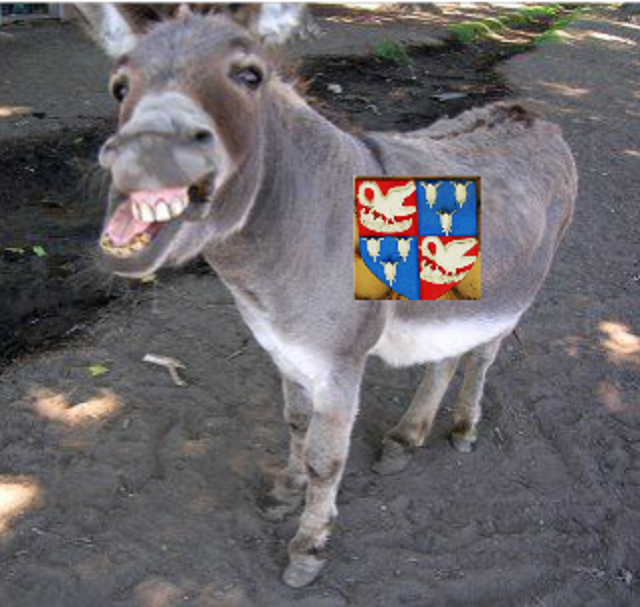 Eeyore-pus Christi (I regret nothing)