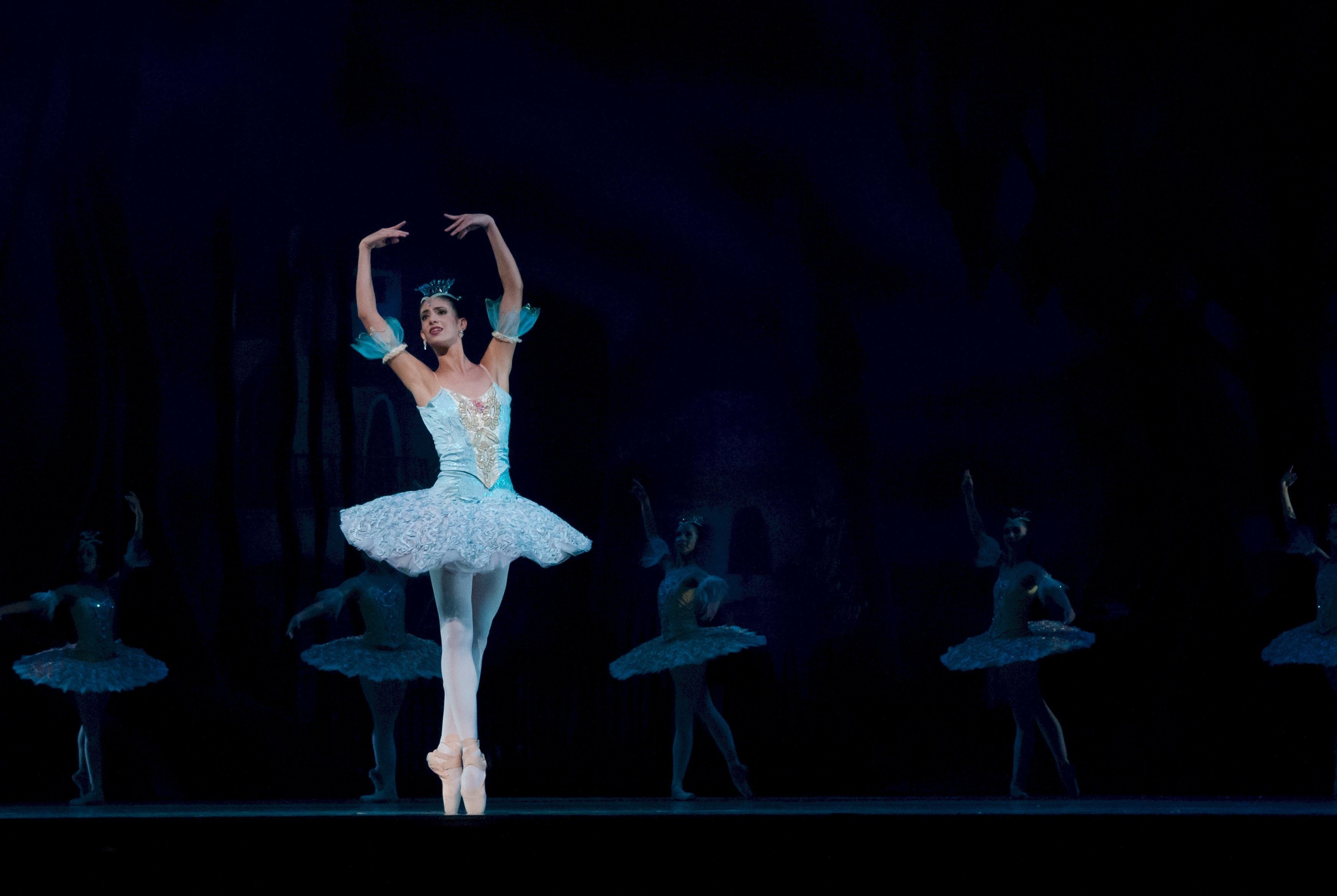 Image may contain: Performer, Ballet, Ballerina, Leisure Activities, Dance Pose, Dance, Person, People, Human