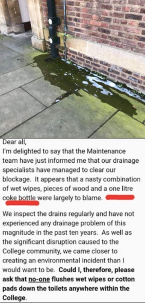 Image may contain: Text, Puddle, Path