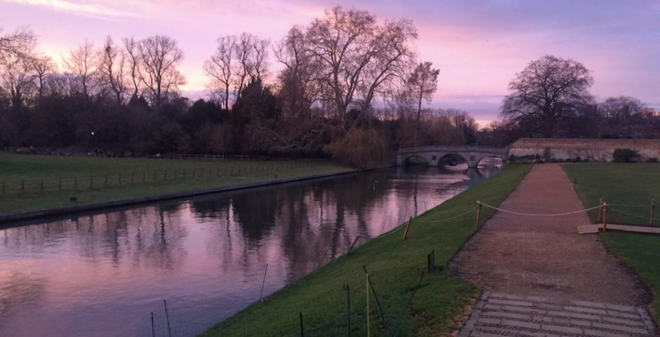 Image may contain: Trail, Woodland, Tree, Land, Forest, Vegetation, Grove, Grass, Plant, Nature, Canal, Towpath, Outdoors, Water, Path