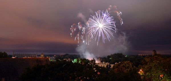 Image may contain: Flare, Light, Vegetation, Plant, Fireworks, Night, Lighting, Outdoors, Nature