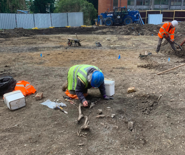 Archeologists dig around a skeleton