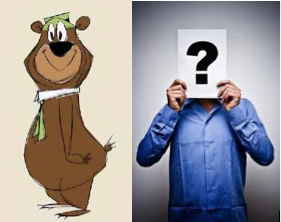 Yogi Bear seems to be running our nightlife!