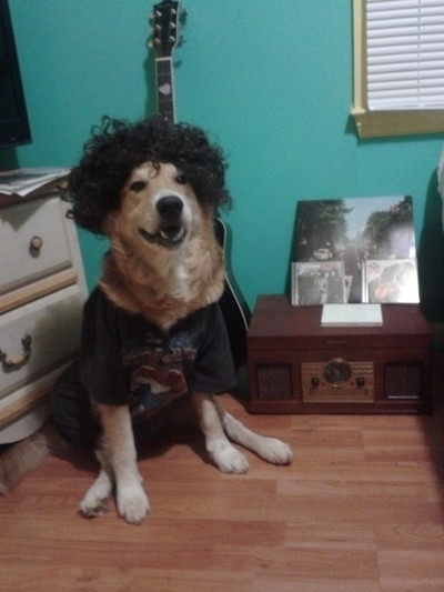 Do I look indie enough?
