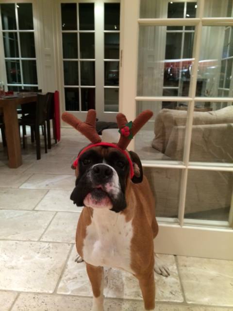 Tyler sporting sporty antlers
