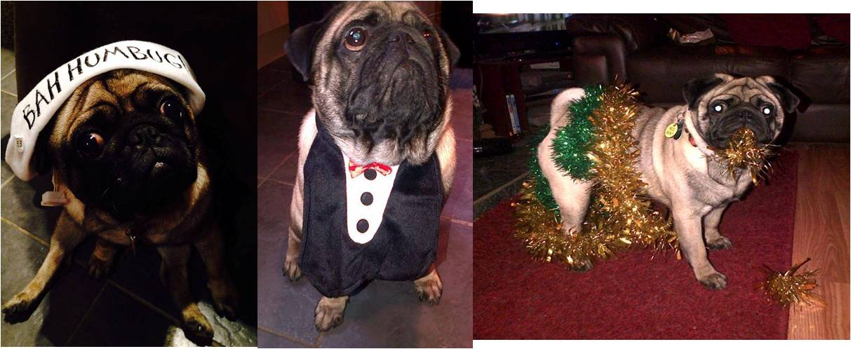 Hogan shows off his varied wardrobe