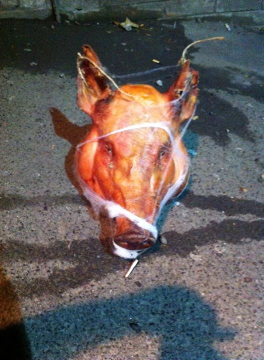 A very rogue present from a Halloween reveller