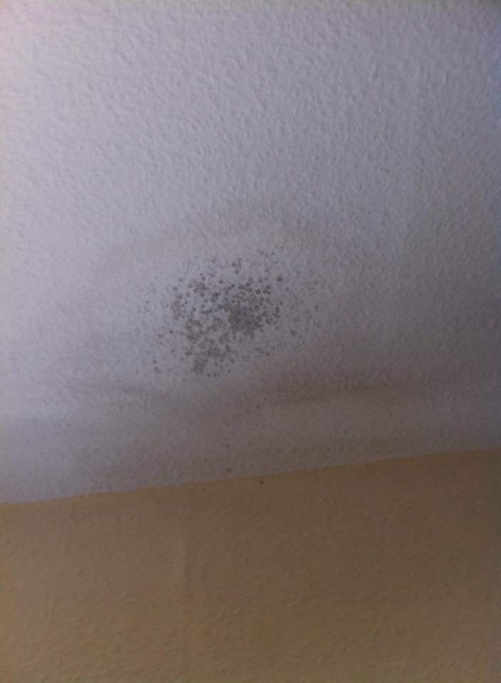 received_888204321260875