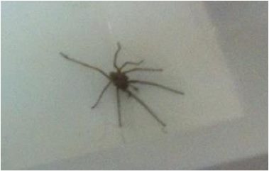 Look how big it is