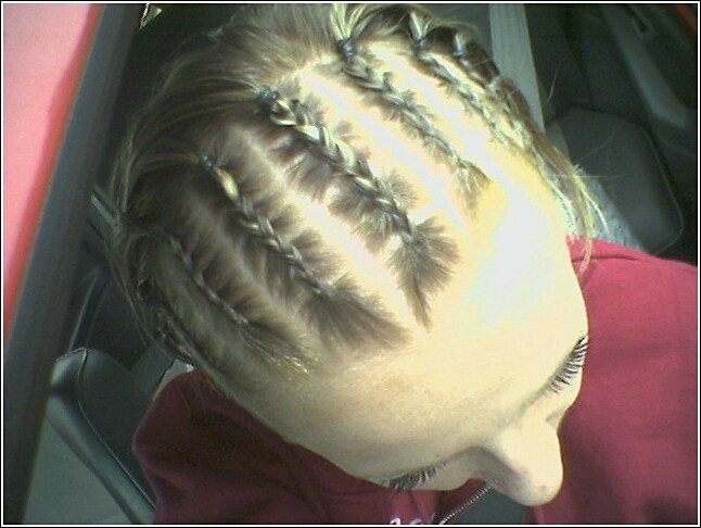 Corn rows 1