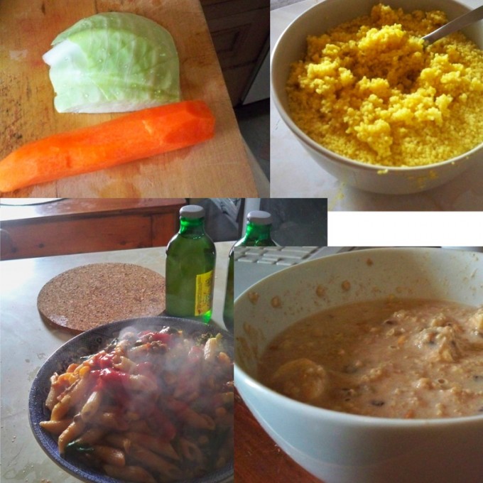 This photo shows a typical day’s worth of food for Pat. Pat assures us that the bottom right picture is porridge, and not in fact vomit.