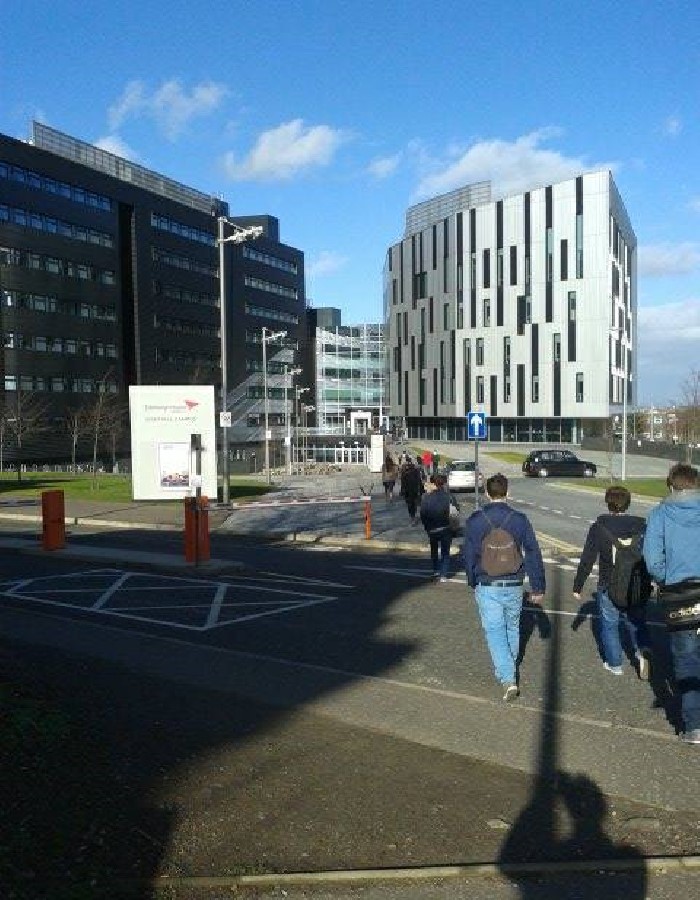 "Sighthill - the tower grey"