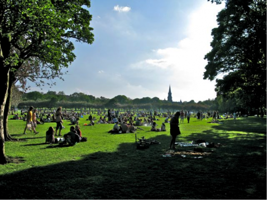Meadows in the Sun
