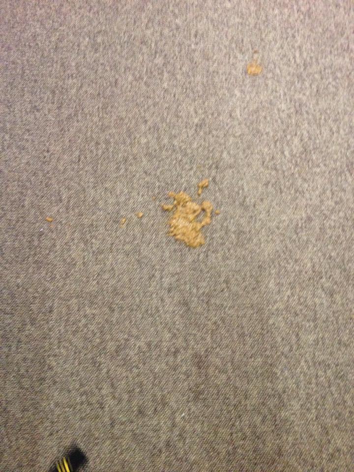 Grant House-The absolute shit (found on 3rd floor)