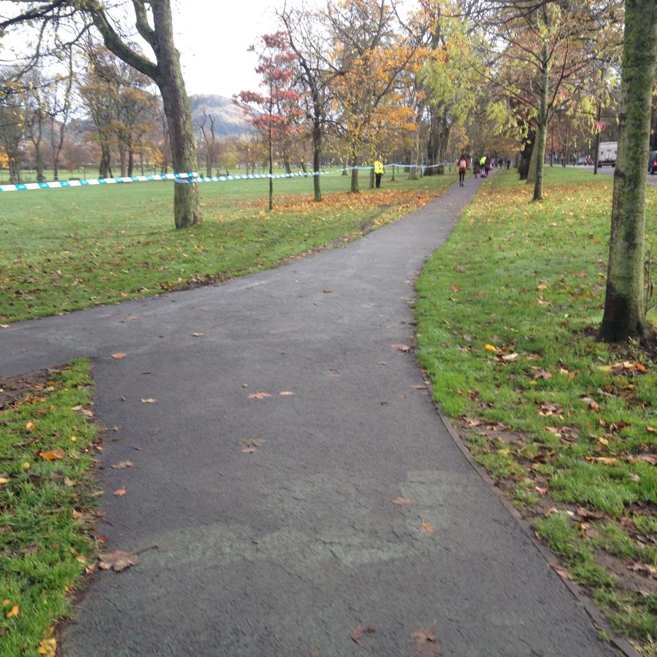 The meadows