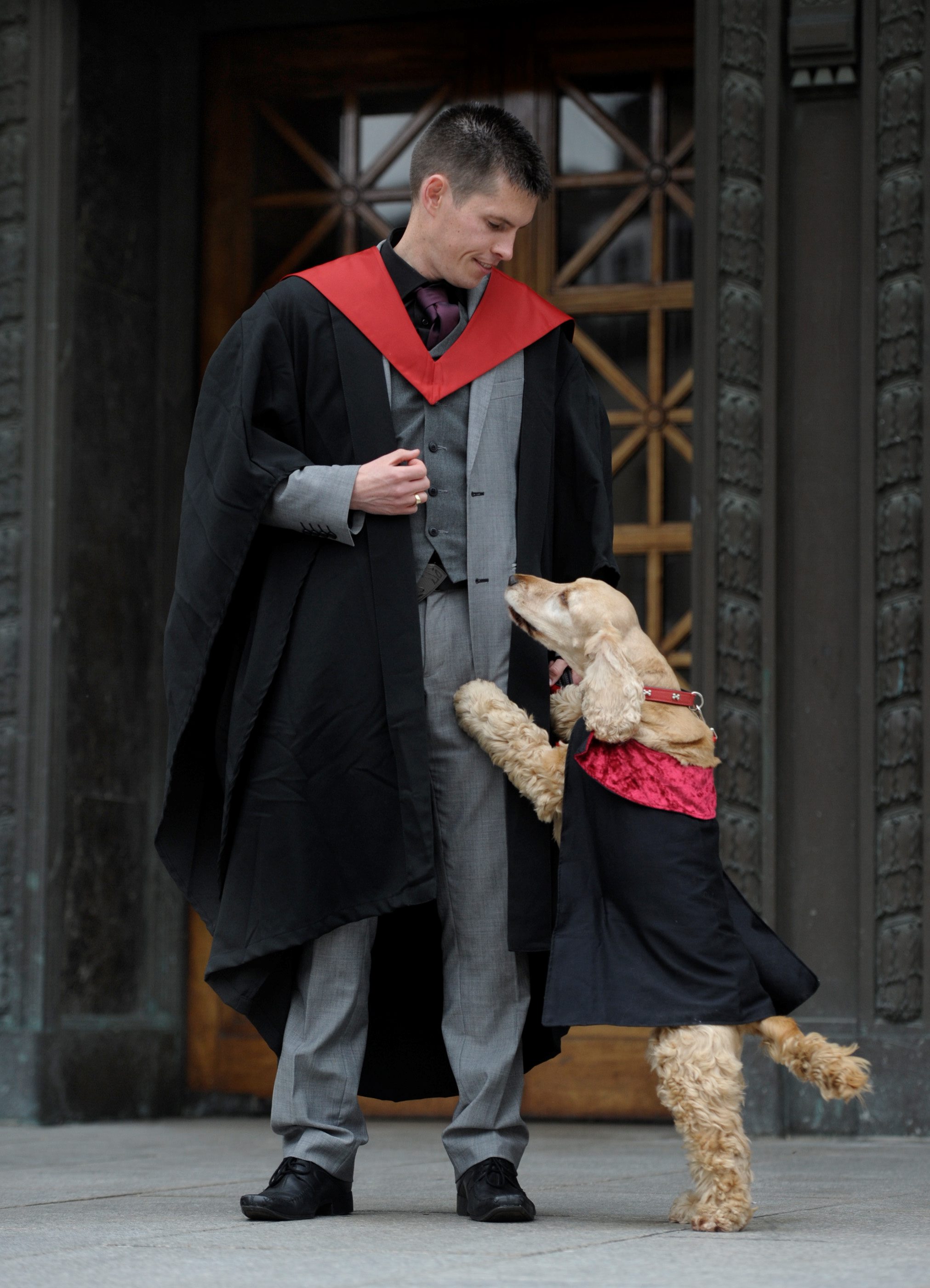 SCT_HEMEDIA_DOG_140210991