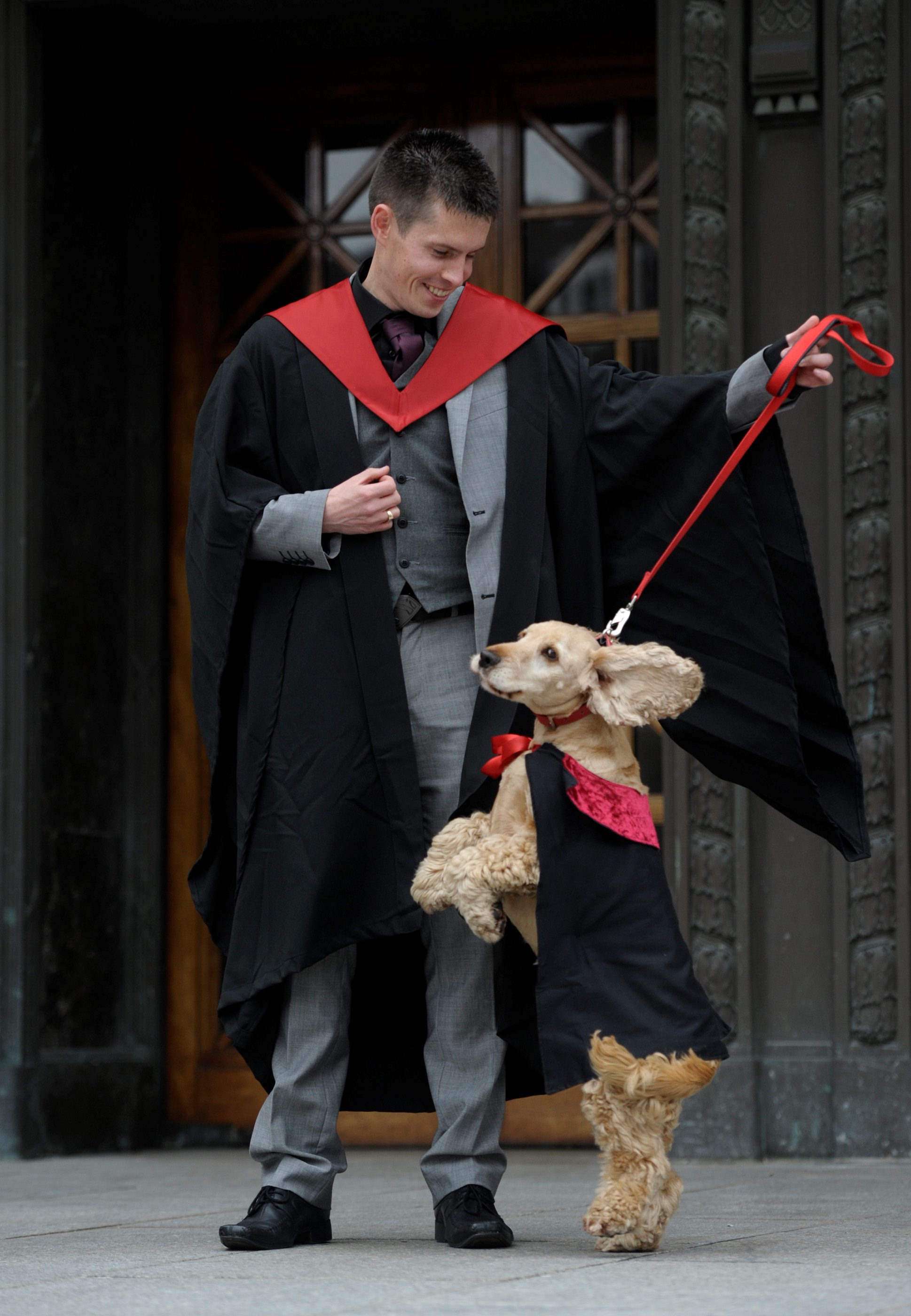 SCT_HEMEDIA_DOG_150210992