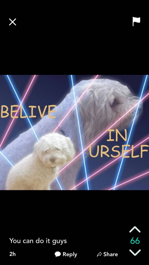 Stay strong comrades; you can do it.