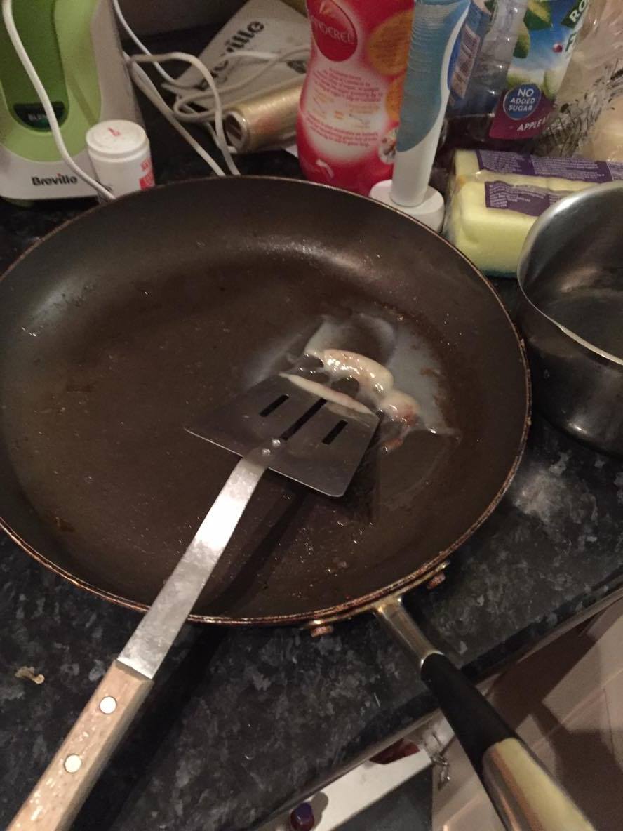 congealed bacon grease is not okay