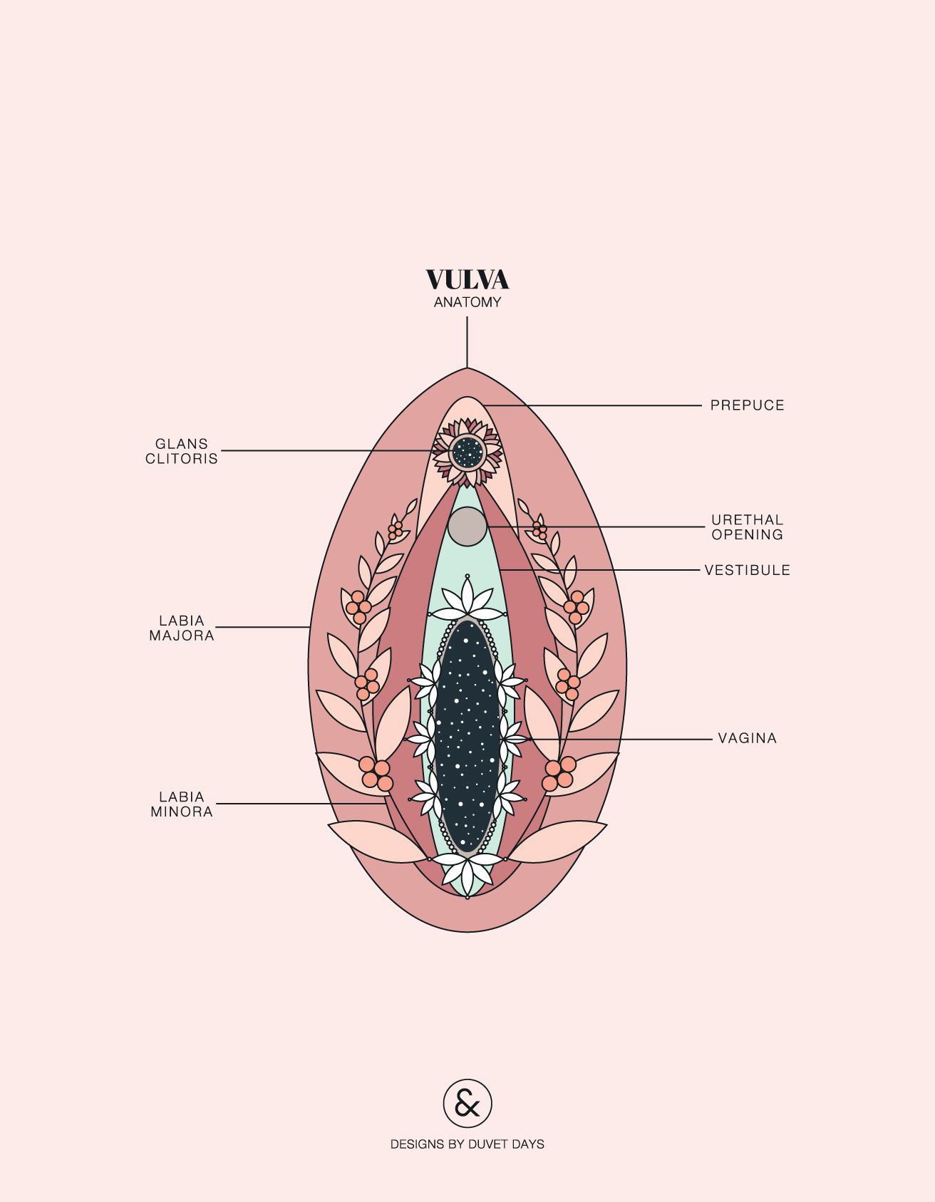 Why do less than half of women have an orgasm during sex