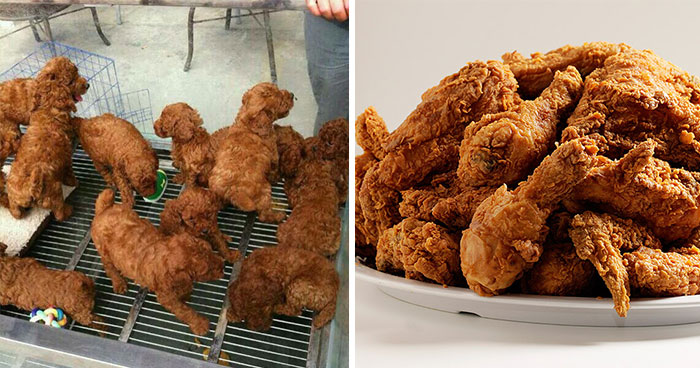 Or fried chicken