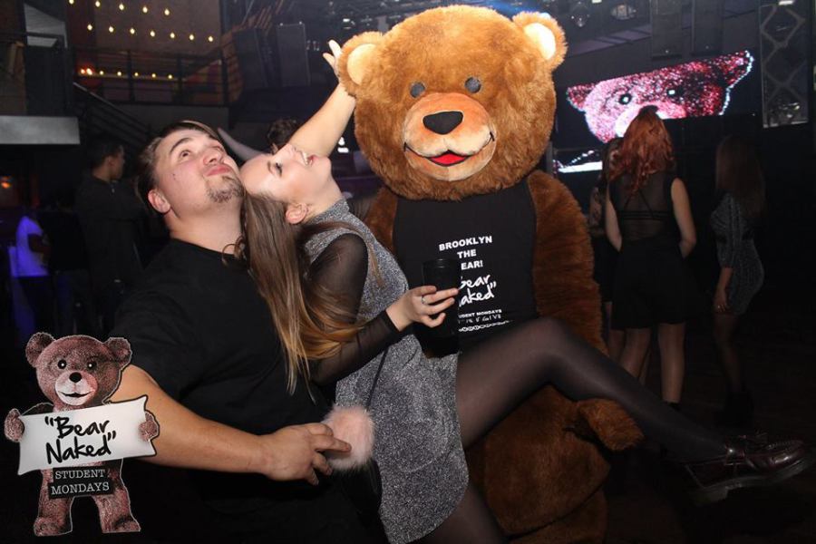 bear