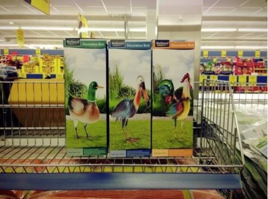 Image may contain: Poster, Collage, Bird, Animal, Supermarket, Market