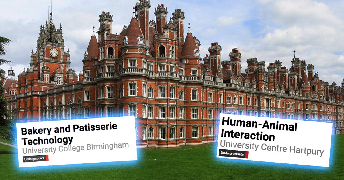 These are the most bizarre courses you can do at uni if all went wrong