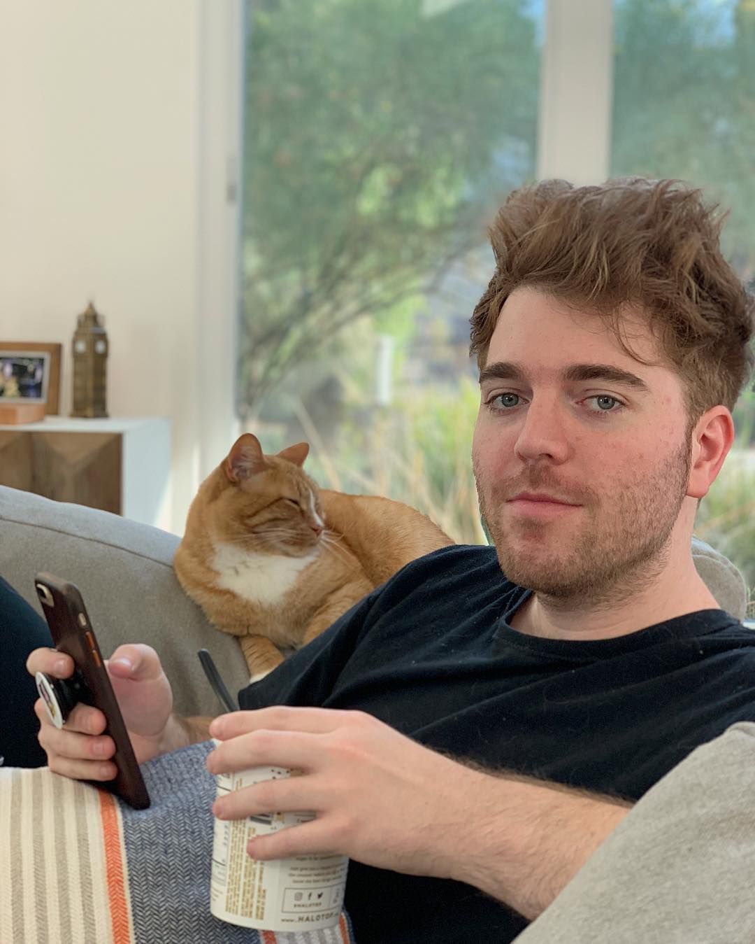 Image may contain: Celebrities who unfollowed James Charles, James Charles, Shane Dawson, YouTuber, unfollow, subscribers,Finger, Furniture, Couch, Mobile Phone, Cell Phone, Phone, Electronics, Abyssinian, Animal, Pet, Cat, Mammal, Human, Person