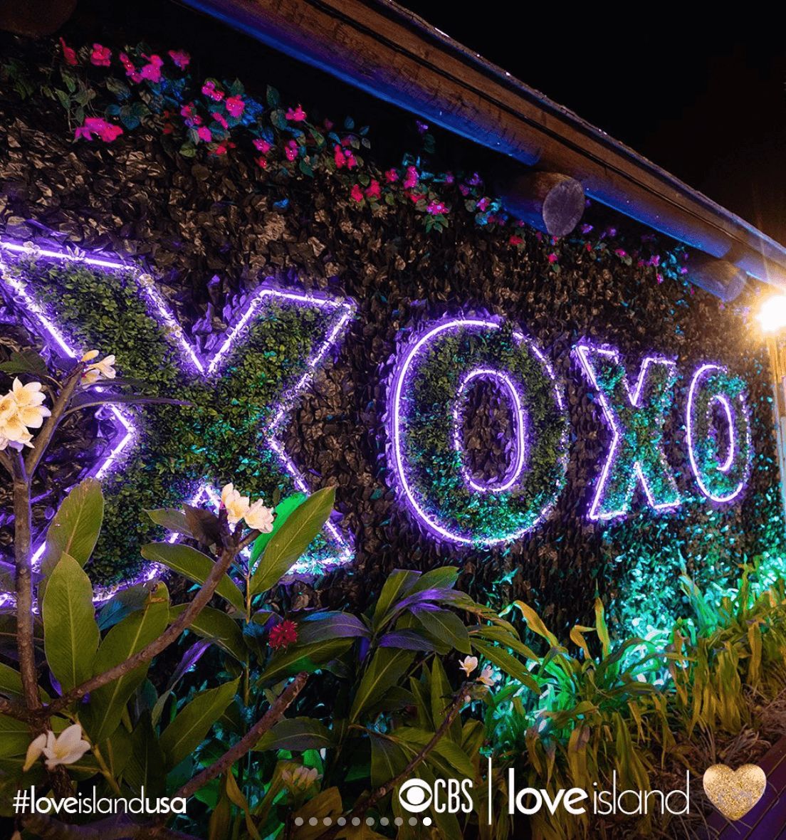 Image may contain: Love Island USA villa, Love Island USA, villa, Love Island, CBS, Neon, Plant, Purple, Flare, Festival, Crowd, Light