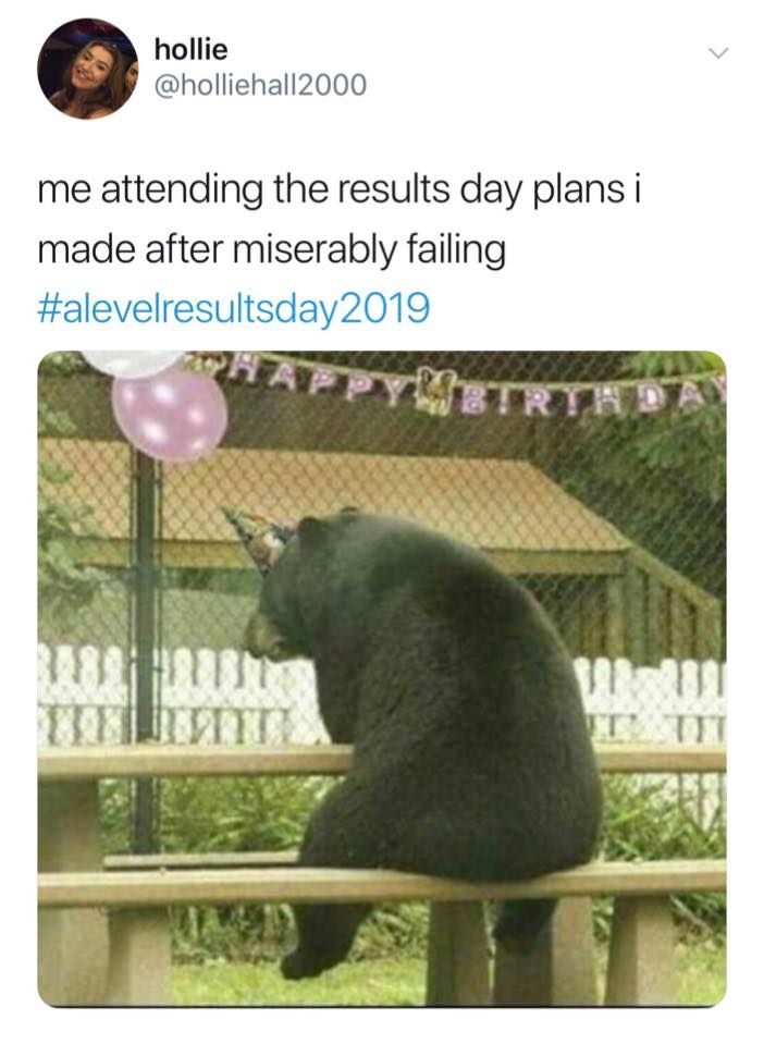 Image may contain: A-level results day memes, A-level results, A-Level, results day, memes, 2019, meme, twitter, tweet, reaction, fail, plans, results, day, cry, student, course, University, grade, degree, college, Wildlife, Bear, Mammal, Person, Human, Zoo, Animal