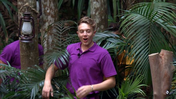 I'm A Celebrity pay, I'm A Celebrity Get Me Out of Here, 2019, I'm A Celeb, pay, fees, celebrities, money, wages, worth, amount, charge, Roman Kemp,