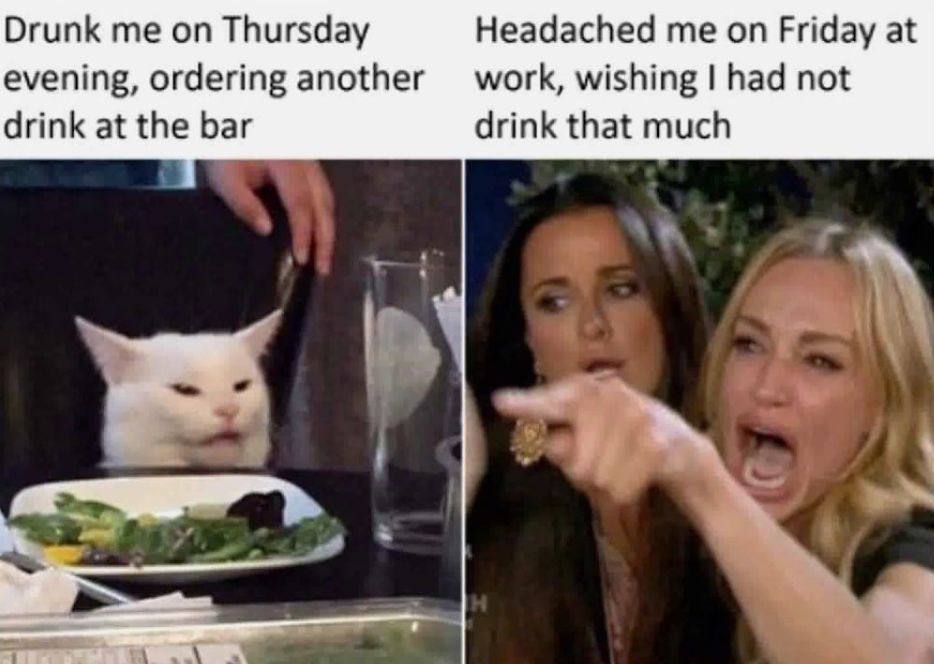 Best Woman Yelling At Cat Memes 28 Of The Funniest Examples Ever