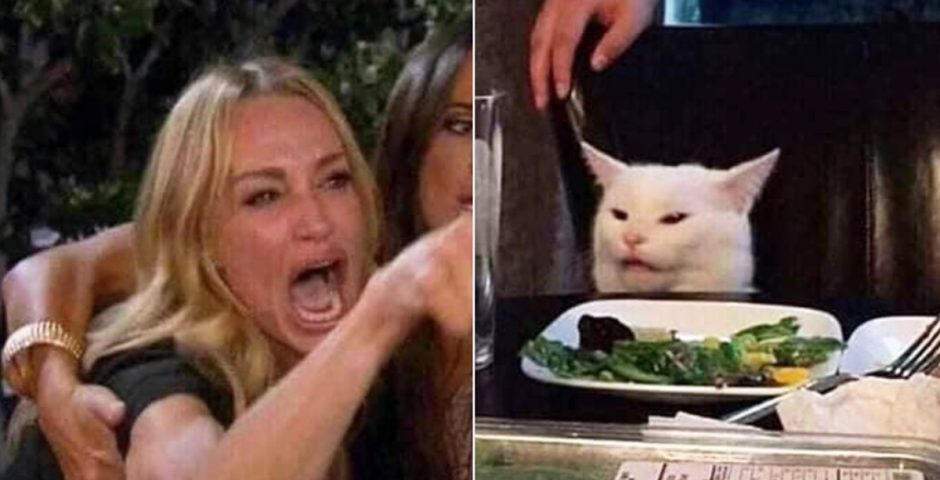 Woman Yelling At Cat Meme Is Still Going Strong 31 Memes