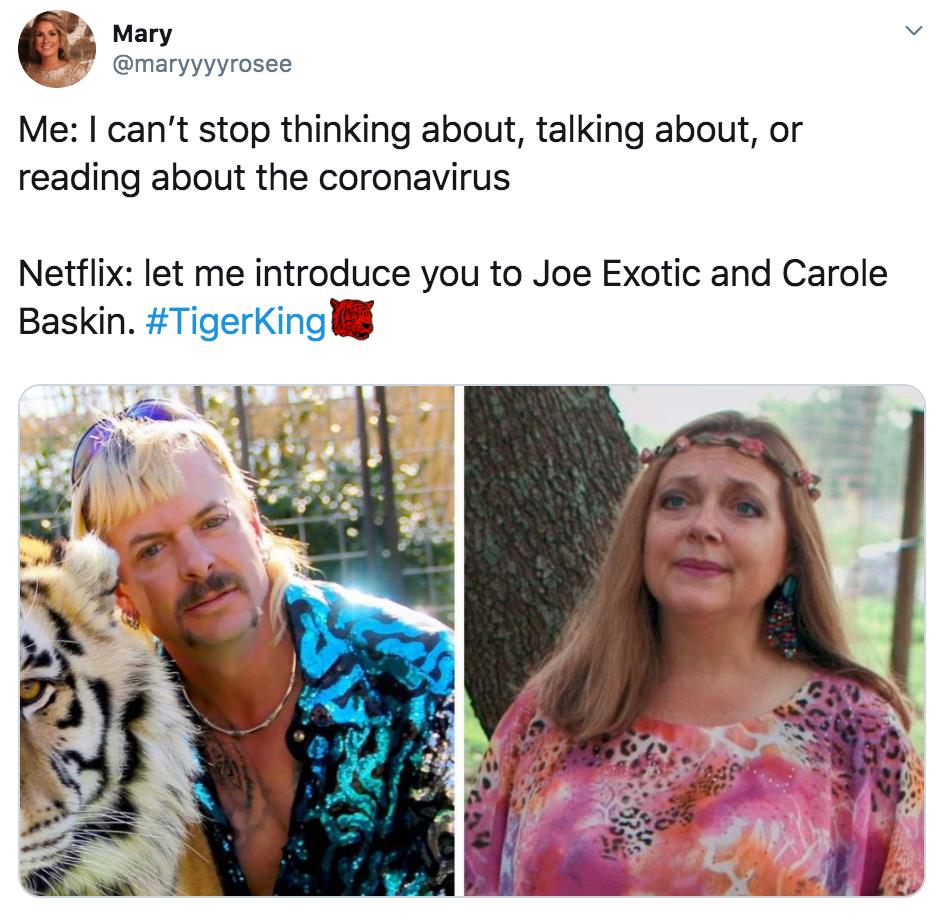 Tiger King, Joe Exotic, memes, meme, reaction, Twitter, funny, Netflix, series, Murder Mayhem and Madness, true crime, documentary, Carole Baskin