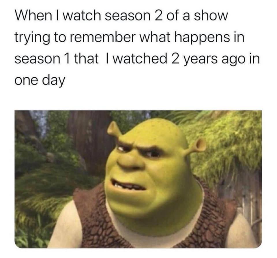 46 Netflix Memes Which Hit Differently If You Spend Your Life Watching