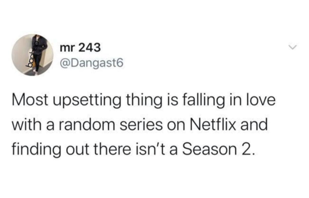 Netflix, memes, funny, meme, reaction, series, season